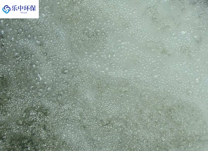溶氣氣浮機(jī)泡沫多什么原因？如何解決？