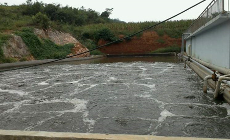 養(yǎng)殖場廢水處理工藝有哪些？（養(yǎng)殖污水便宜處理方法）