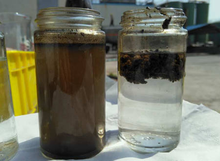 AO工藝出水SS高什么原因|怎么辦？